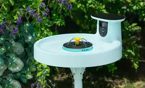 Birdfy Bird Bath Pro vs Gopro Lit Hero: Which Should You Buy?